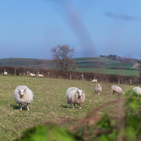 Beautiful Countryside Cottage On The North Wales Coast Abergele Buitenkant foto